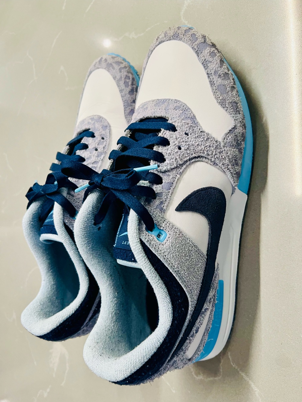 Nike Air Pegasus ‘89 G NRG Accept and Embrace Men’s Size 13 Spikeless Golf Shoe